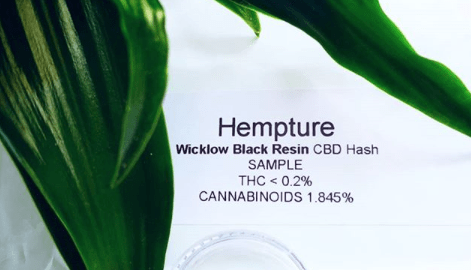 CBD TERPENES