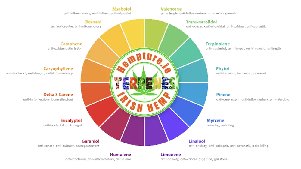 Hemptrure-Ireland-terpenes